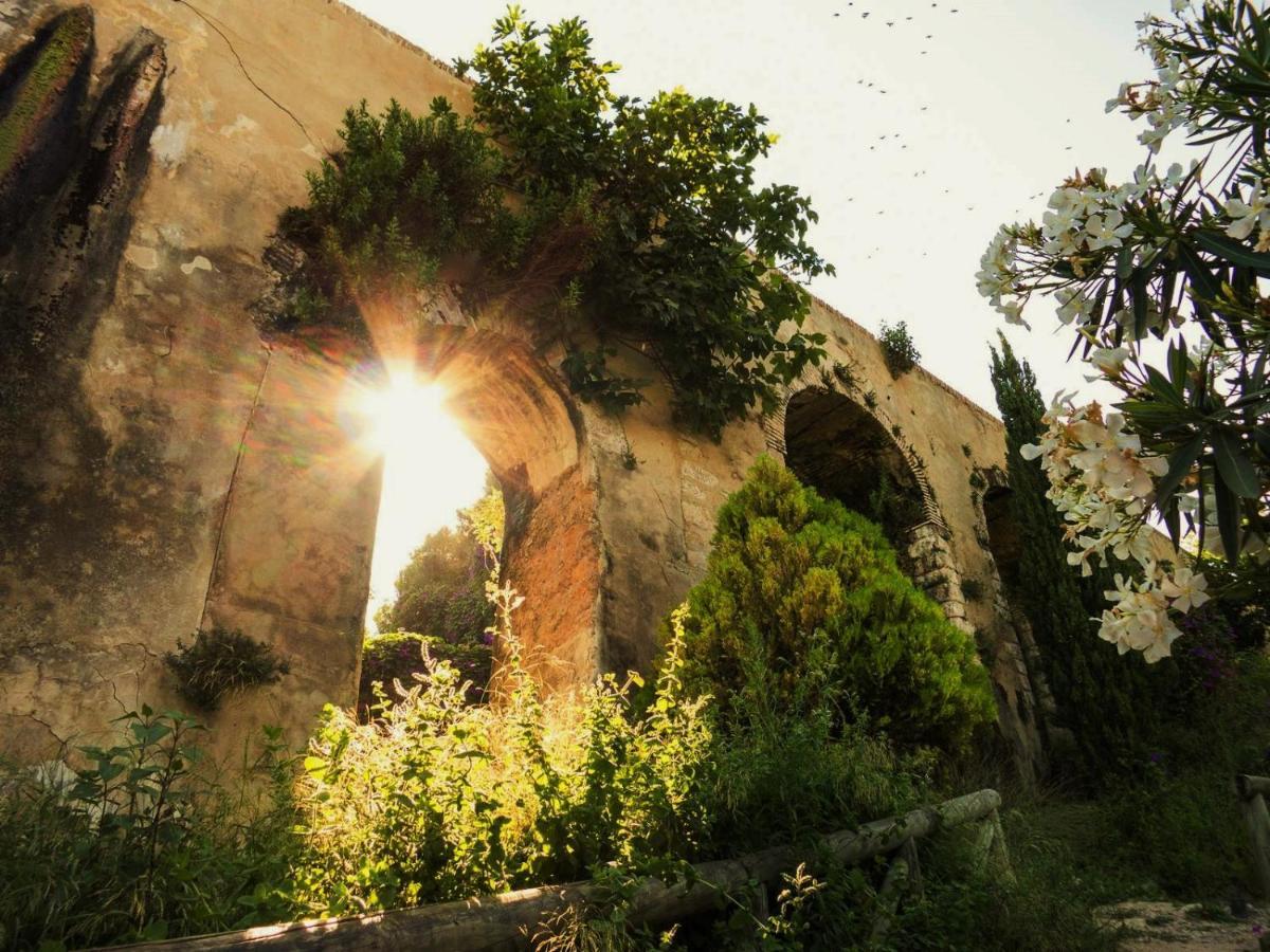 Casa Pangea Villa Vejer de la Frontera Buitenkant foto